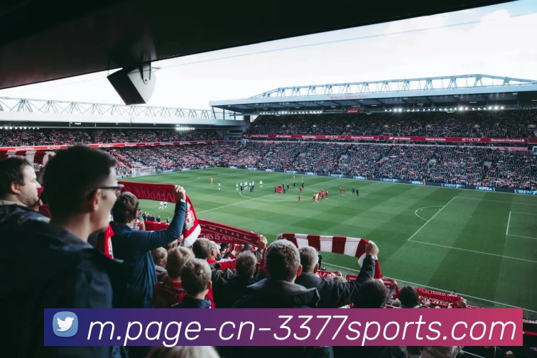 3377体育服务体系